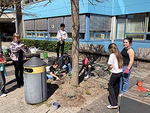 Herrichten des Bienenbuffets