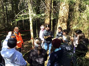 Lernen im Wald